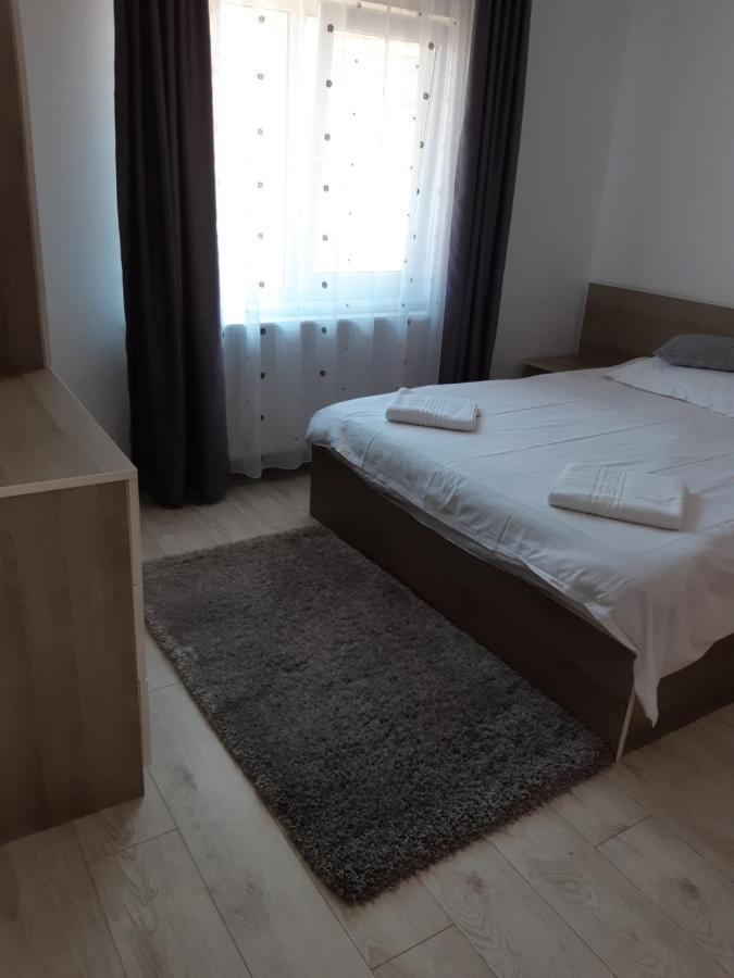 Vila Georgeta Зэрнешти Экстерьер фото
