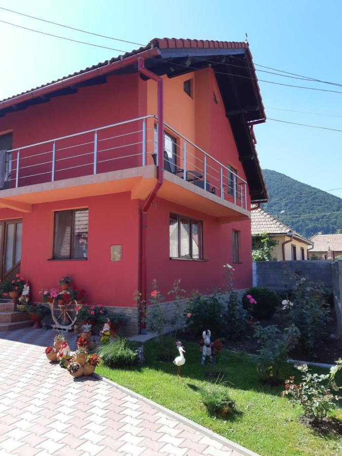 Vila Georgeta Зэрнешти Экстерьер фото