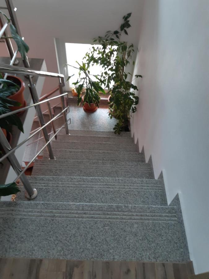 Vila Georgeta Зэрнешти Экстерьер фото