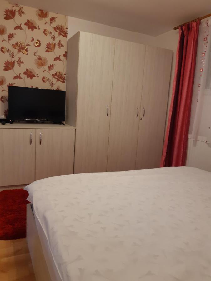 Vila Georgeta Зэрнешти Экстерьер фото