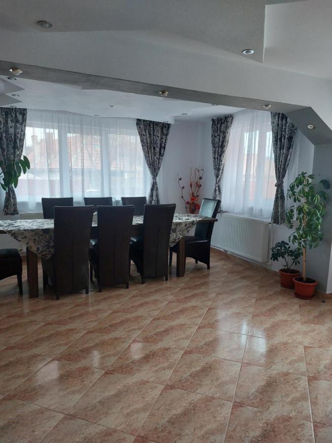 Vila Georgeta Зэрнешти Экстерьер фото