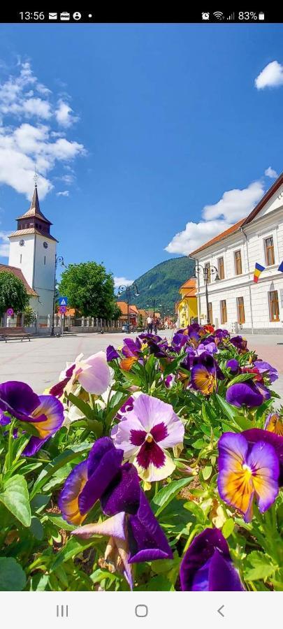 Vila Georgeta Зэрнешти Экстерьер фото