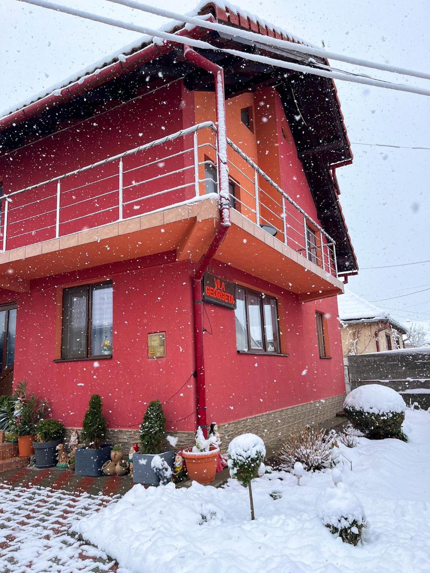 Vila Georgeta Зэрнешти Экстерьер фото